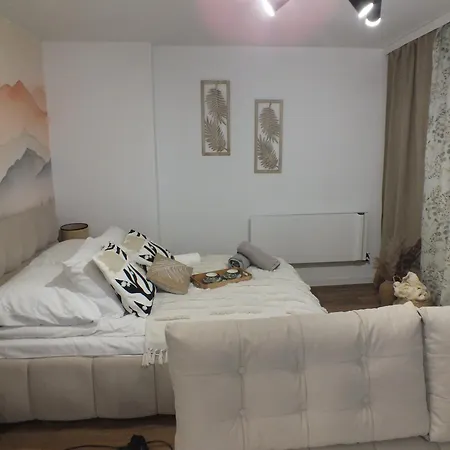 Apartamento Pieniny *